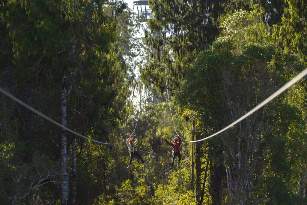 Treetops Zipline West Coast Treetop & Zipline