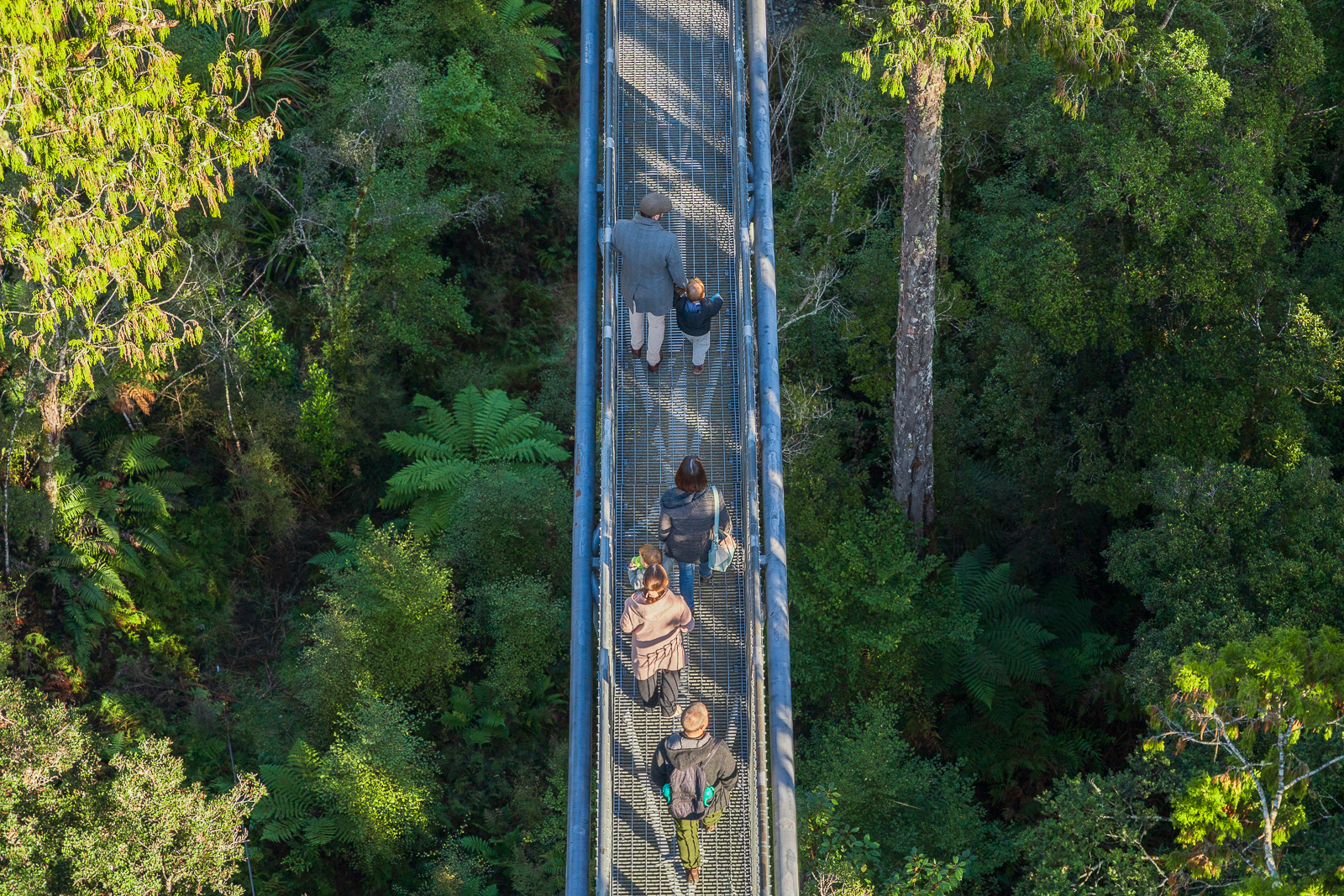 People Walking on the Tahune Airwalk
