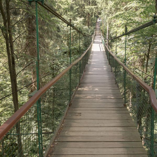 Frequently Asked Questions West Coast Tree Tops